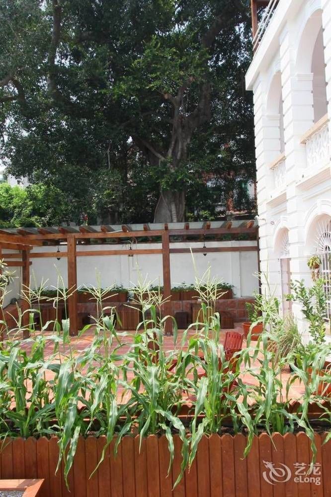 Gulangyu Wooden Sweet House Villa Xiamen Extérieur photo